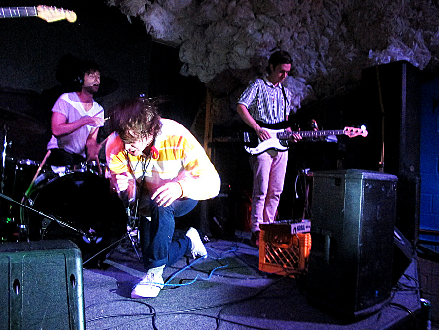 Snakes_Say_Hisss_action