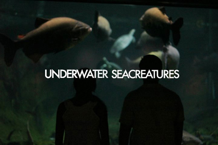 UnderwaterSeacreatures